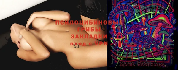 прущие грибы Покров