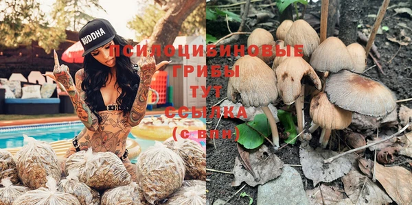 альфа пвп Армянск